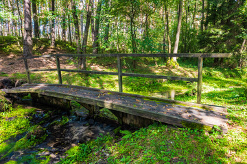 Old wooden bridge over small river in green forest, Roztocze region, Poland