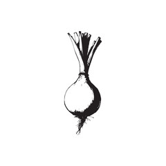 Shallot Vector (1).eps