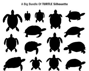 Collection of Turtle Silhouettes Diverse Sea Turtle and Tortoise Shapes in Black and White silhouette set various