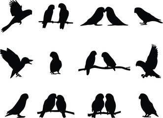Bird silhouette vector, flying birds, perched birds, black animal icons, nature graphic, wildlife illustration, minimalist design, avian interaction art