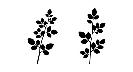 Silhouette of two delicate branches with multiple oval shaped leaves in black and white
