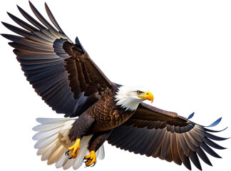 Obraz premium Soaring Freedom Symbol