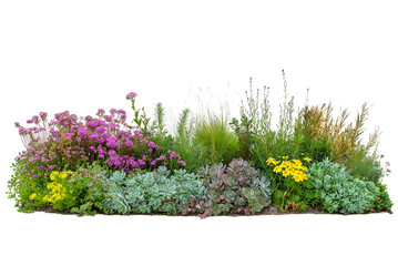 Obraz premium Sustainable Flower Bed with Drought Resistant Plants Isolated on Transparent Background. Succulents, Sedums, and Native Grasses in Sustainable Flower Bed Cutout PNG.