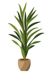 Tall green houseplant with long leaves in a simple pot. Interior decoration element for home and office. Isolated item on white.