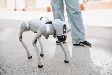 grey robot dog in city street