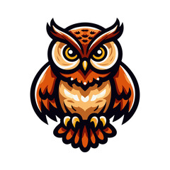 owl illustration design