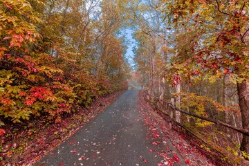 Obraz premium fall in mountains