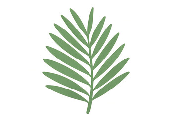Fototapeta premium Tropical palm leaf capturing summer vibes with a vibrant green color, featuring a transparent background for versatile design use