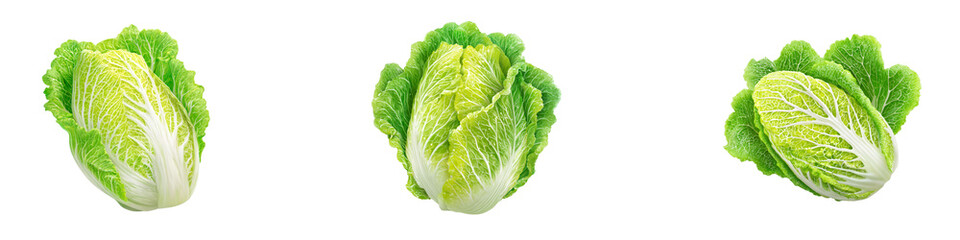 Obraz premium Three Fresh Crisp Chinese Cabbage Heads isolated on transparent background.