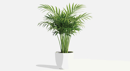 Potted parlor palm houseplant with green fronds in white container for botanical vector illustration and indoor tropical nature decor content