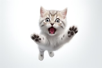 Playful kitten leaping joyfully against a soft white background, capturing a moment of excitement