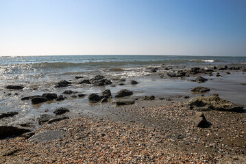 Rocky Beach Shoreline Under a Clear Blue Sky on a Sunny Day