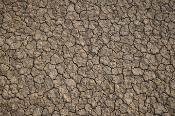 Cracked ground surface,Dried wasteland with cracked brown mud surface. Closeup panorama with deep focus.