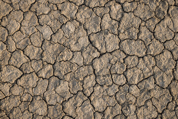 Cracked ground surface,Dried wasteland with cracked brown mud surface. Closeup panorama with deep focus.