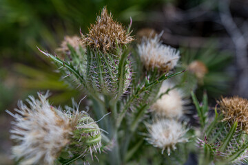 abstract long exposure