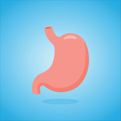 Healthy Human Stomach Organ Vector