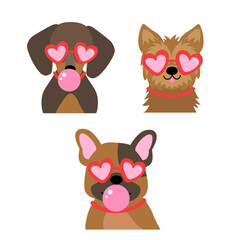 set of isolated cute dogs wearing heart glasses blowing bubblegum