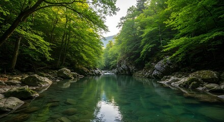 Obraz premium Hermoso río Stream en la naturaleza