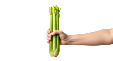 presenting natures crisp embrace a hand offers fresh celery stalks, symbolizing health and vitality, isolated on transparent background