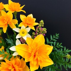 Fototapeta premium bouquet of yellow flowers