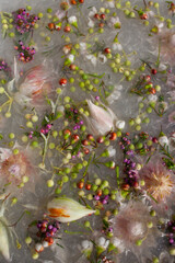 Floating Protea and Waxflower Arrangement with Berzelia and Heather