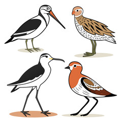 set of birds on a branch