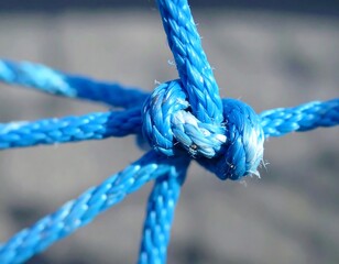Close-up of a blue rope knot