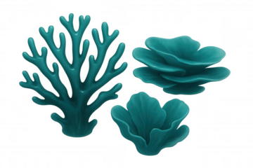 Three turquoise corals thriving on a transparent background, showcasing their intricate textures and vibrant color