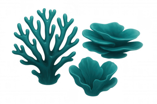 Three turquoise corals thriving on a transparent background, showcasing their intricate textures and vibrant color - Powered by Adobe