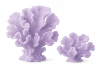 Two vibrant purple corals growing against a transparent background, enhancing marine-themed projects with their colorful beauty and intricate textures
