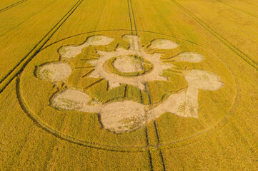 Aerial view of a geometric crop art, crop circle formation after the farmer had defaced it, in a wheat field near Avebury, Wiltshire, England, UK 