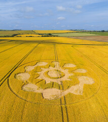 Aerial view of a geometric crop art, crop circle formation after the farmer had defaced it, in a wheat field near Avebury, Wiltshire, England, UK 