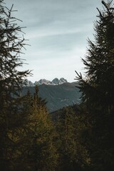 Scenic mountain view framed by trees
