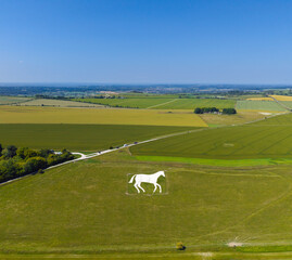 Aerial view of Devizes Roundway White Horse, Chalk Hill Figure, Wiltshire, England, UK