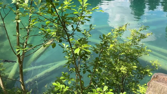 Crystal-clear Blausee lake in Switzerland, where the water is so transparent you can see fish swimming below. Pristine alpine nature, peaceful atmosphere, and stunning natural beauty. Kandergrund 