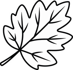Black and white leaf outline illustration with detailed venation suitable for coloring pages and nature related design projects for a clean modern look
