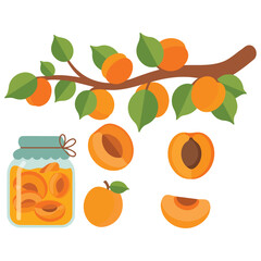 Apricot set cartoon apricots with leaves halves slices fruit jam peach with filling