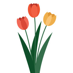 Hand drawn tulips spring flowers floral green leaves multicolored botanical elements