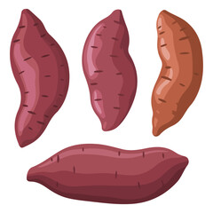 Sweet potato baked handdrawn illustrations set isolated vector on white background