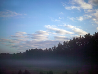 fog and dampness in the morning