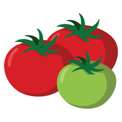 Large red and green tomatoes isolated vector illustration on white background