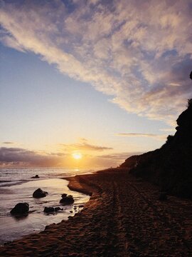 Coastal Shine