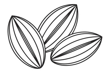 Fototapeta premium Three stylized cocoa beans with linear detail on white background cacao food