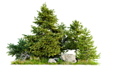 pine tree group on small rock mountain, 3d illustration rendering 