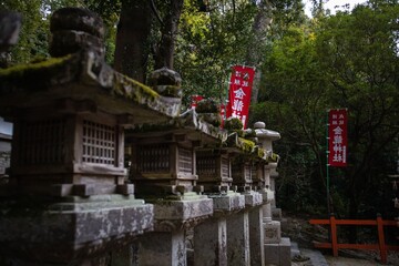 Stone lanterns in a Japanese temple garden.