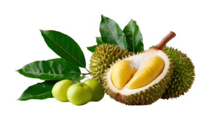 Durian Delight: A close-up of a durian, with its spiky exterior and creamy, flavorful interior, showcased alongside some young mangosteen, symbolizing freshness and culinary curiosity.