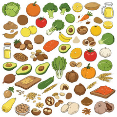 Diverse Hand-Sketched Healthy Food Elements for a Nutritious Lifestyle