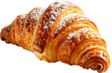 Flaky Buttery Pastry