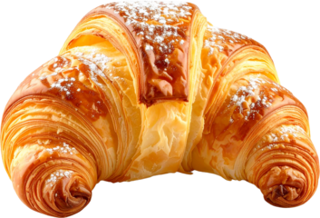 Flaky Buttery Pastry