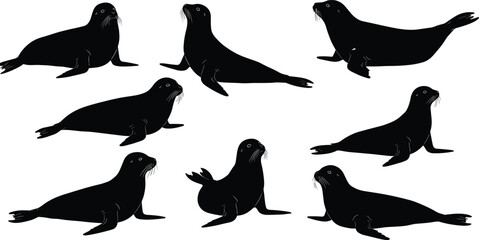 Silhouettes of seals, marine animals, sea mammals, ocean wildlife, aquatic creatures, nature illustration, wildlife silhouettes, sea life, aquatic mammals, ocean animals